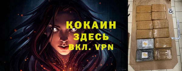 бошки Новозыбков