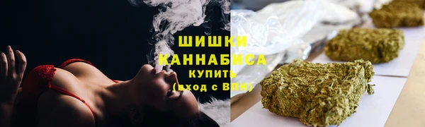 бошки Новозыбков