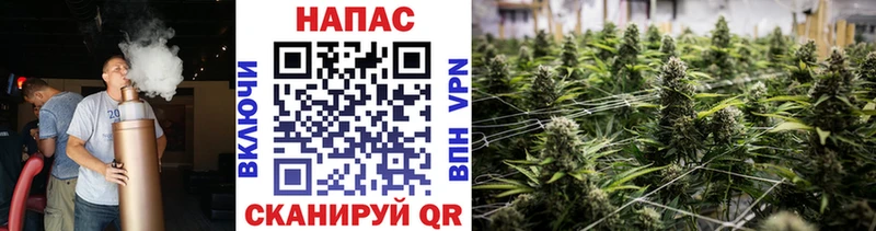 Купить  Ильский  Шишки марихуана White Widow 